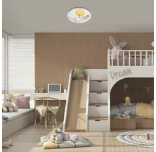 Cameră pentru copii cu pat supraetajat, birou și plafonieră cu motiv cu animale