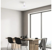 Sufragerie cu masă, scaune și lampă de tavan.