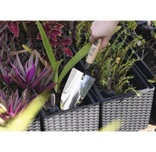 Lingură din oțel inoxidabil într-un ghiveci printre plante