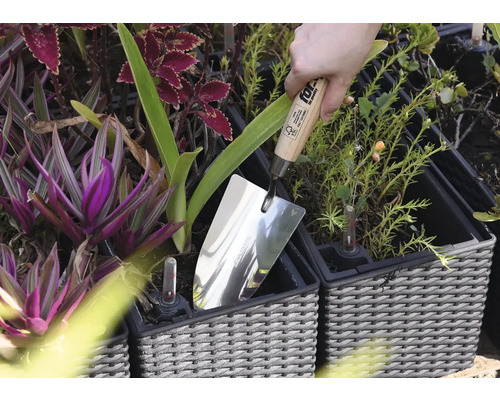 Lingură din oțel inoxidabil într-un ghiveci printre plante