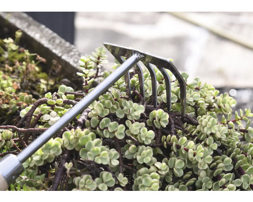 Greblă de grădină pentru cultivarea solului printre plante