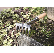 Greblă de grădină cu mâner din lemn și dinți metalici între plante