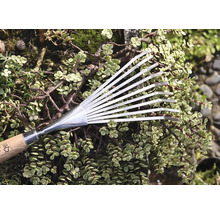 Greblă metalică tip evantai cu mâner din lemn în fața plantelor verzi