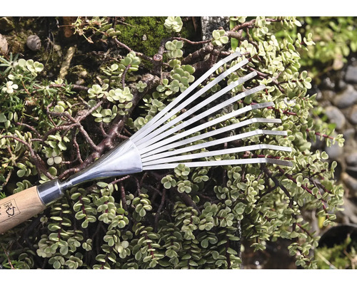 Greblă metalică tip evantai cu mâner din lemn în fața plantelor verzi