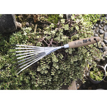 Greblă de grădină cu mâner de lemn și dinți metalici, înconjurată de plante verzi.