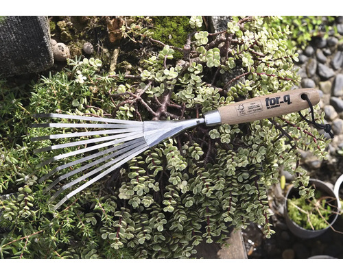 Greblă de grădină cu mâner de lemn și dinți metalici, înconjurată de plante verzi.