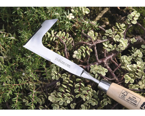 Cuțit de plivit din oțel inoxidabil cu mâner din lemn