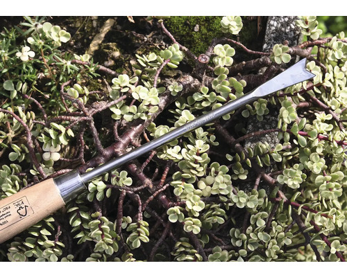 Dispozitiv de scos buruieni cu mâner de lemn în fața plantelor