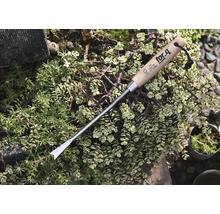 Smulgător de buruieni cu mâner de lemn pentru lucrări de grădinărit