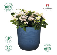 Ghiveci albastru cu hortensie și simbolurile: 100% reciclabil, rezistent la temperaturi de la -30 la +60 grade Celsius, 30 de ani de experiență și zero emisii