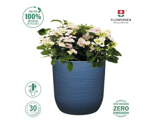 Ghiveci albastru cu hortensie și simbolurile: 100% reciclabil, rezistent la temperaturi de la -30 la +60 grade Celsius, 30 de ani de experiență și zero emisii