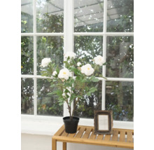 Tufă artificială de trandafiri cu flori albe într-un ghiveci pe o masă în fața unei ferestre.