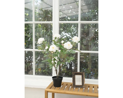 Tufă artificială de trandafiri cu flori albe într-un ghiveci pe o masă în fața unei ferestre.