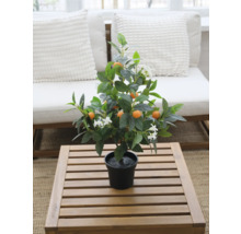 Plantă artificială portocal în ghiveci ca decorațiune de masă