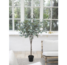 Eucalipt artificial în ghiveci în fața unei ferestre