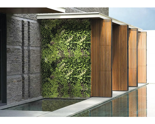 Vedere exterioară cu perete verde, zid de piatră și reflexia apei