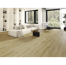 Cameră de zi luminoasă cu pardoseală cu aspect de lemn, canapea, fotoliu și bibliotecă.