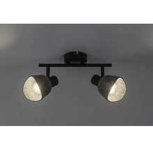 Lumină de plafon cu două spoturi