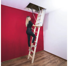 Femeie urcând pe o scară de mansardă spre un pod.