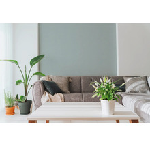 Living cu canapea gri, perne decorative, plante de interior și masă albă