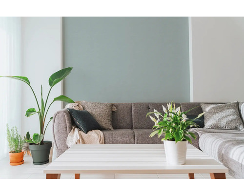 Living cu canapea gri, perne decorative, plante de interior și masă albă