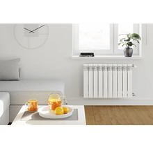 Living cu calorifer, canapea, masă și decorațiuni