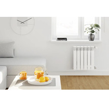 Cameră de zi luminoasă cu radiator, ceas și decorațiuni