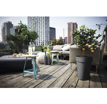Idee de amenajare pentru un balcon urban cu mobilier de lounge, masă și plante
