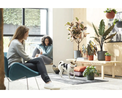 Scenă interioară luminoasă cu două femei, un câine și plante de apartament pe o bancă de lemn