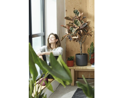 Femeie stând lângă fereastră lângă plante de interior în ghivece pe o masă din lemn