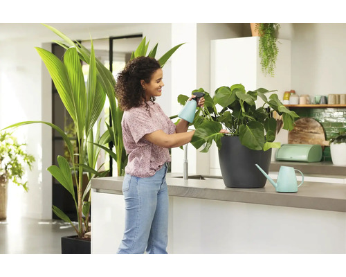 Femeie udă o plantă de interior într-o bucătărie cu un pulverizator