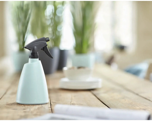 Pulverizator din plastic cu cap de pulverizare pe masă de lemn