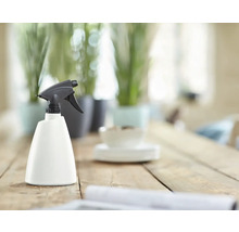 Pulverizator pentru plante pe o masă de lemn