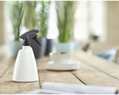 Pulverizator pentru plante pe o masă de lemn