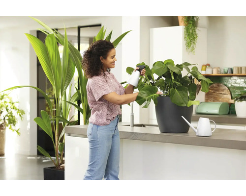 Femeie pulverizând o plantă de apartament cu un pulverizator de plante în bucătărie