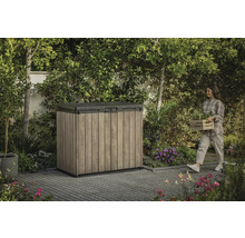 Dulap de grădină în aer liber cu o femeie care transportă plante