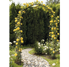 Arcadă neagră de trandafiri cu trandafiri galbeni într-o grădină deasupra unei poteci de piatră