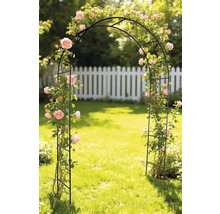 Arcadă de trandafiri în grădină cu trandafiri