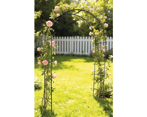 Arcadă de trandafiri în grădină cu trandafiri