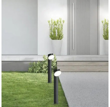 Scenă cu două lămpi de exterior, gazon și fațadă de casă