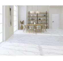 Cameră luminoasă cu gresie cu aspect de marmură, masă de sufragerie, scaune și rafturi