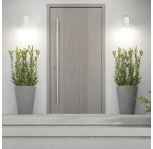 Ușă de intrare modernă cu jardiniere și lumini de exterior