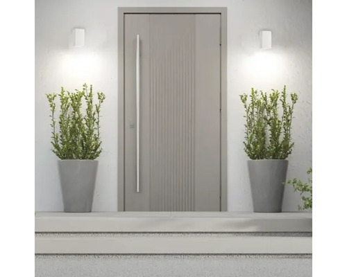 Ușă de intrare modernă cu jardiniere și lumini de exterior