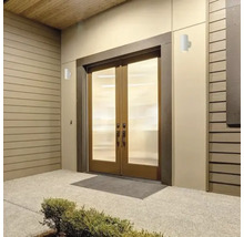 Zonă de intrare cu ușă dublă, lămpi de exterior și arbust decorativ