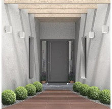 Zonă de intrare cu ușă de intrare, iluminat și plante