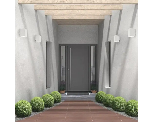 Zonă de intrare cu ușă de intrare, iluminat și plante