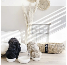 Doi câini mănâncă din boluri albe pentru hrană într-o sufragerie luminoasă, cu elemente decorative.