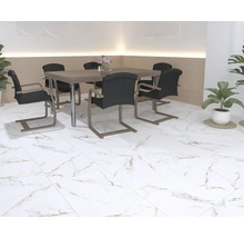 Sufragerie cu masă, scaune și plante de interior pe o pardoseală albă cu efect de marmură