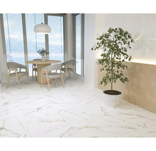 Sufragerie luminoasă cu masă, scaune, plantă de interior și podea cu gresie.