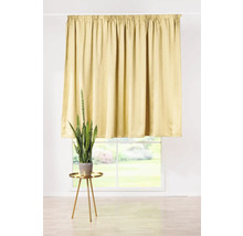 Perdea în fața unei ferestre cu o plantă de apartament pe o masă.